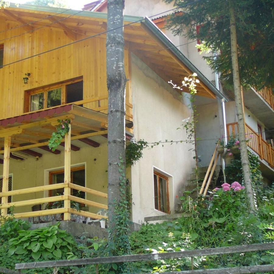 Mountain Sun Guest House Chiflik Exterior photo